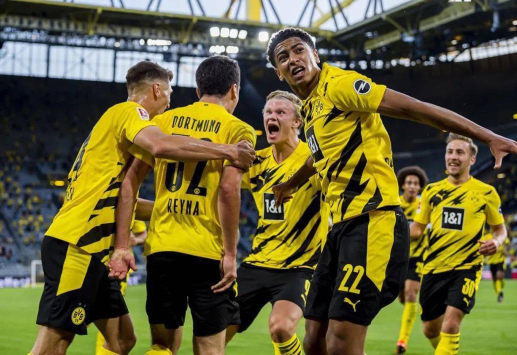 封盖和篮板 封盖和篮板